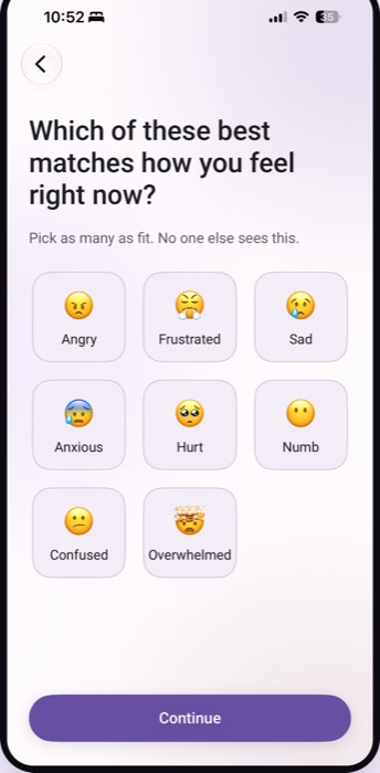 A screen asking 'Which of these best matches how you feel right now?' with selectable feelings including angry, frustrated, sad, anxious, hurt, numb, confused and overwhelmed. A note underneath reads 'Pick as many as fit. No one else sees this.'